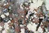 Hematite Quartz, Chalcopyrite, Dolomite & Galena Association #170287-2